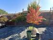 254 waxter way, baltimore,  MD 21217