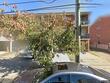  brooklyn,  NY 11208