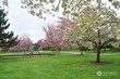  monroe,  WA 98272
