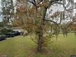  lakeland,  FL 33803