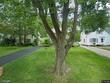 1148 van curler ave, schenectady,  NY 12308