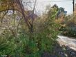 13341 metropolitan ave, bonner springs,  KS 66012