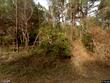 179 song bird dr, round o,  SC 29474