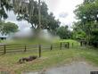 4232 cr 400, lake panasoffkee,  FL 33538