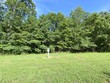 154 wood chase ln, spring city,  TN 37381