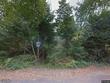 2722 212th pl, ocean park,  WA 98640