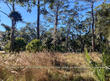 2 club cottage road, edisto beach,  SC 29438
