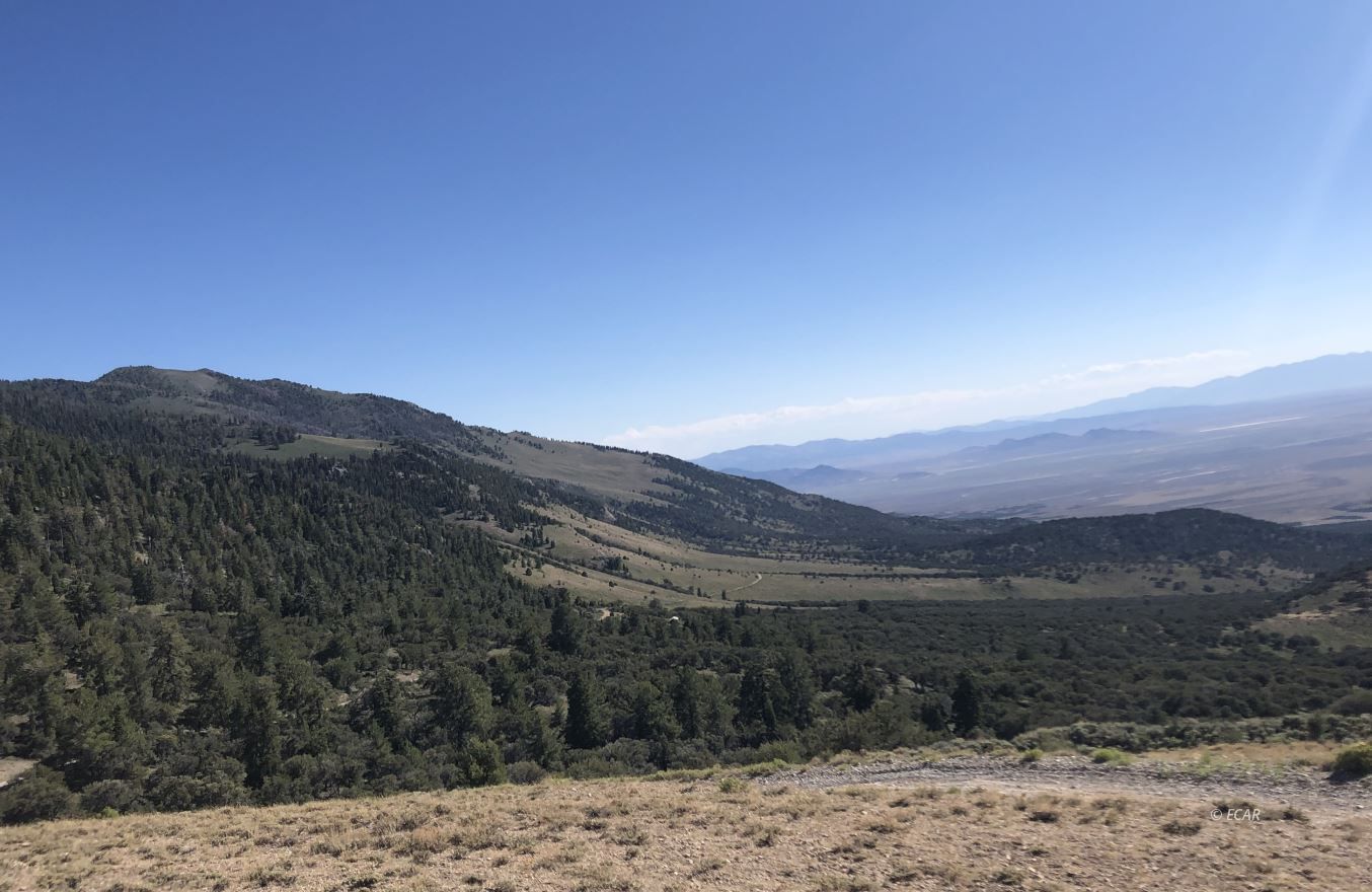 spruce mtn road, wells,  NV 89835