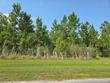 lot 68 wide water cir, wewahitchka,  FL 32465