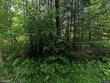 323 calais rd, worcester,  VT 05682