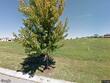 1727 n 92nd ter, kansas city,  KS 66112