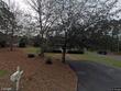 445 chamblee rd, walterboro,  SC 29488