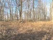 lot1 thorn apple dr, wittenberg,  WI 54499
