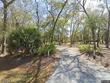 8964 palmetto rd, edisto island,  SC 29438