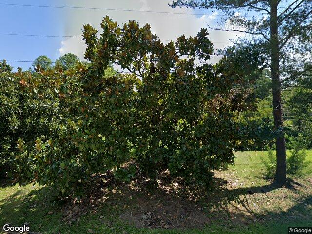 1119 three dog rd, chapin,  SC 29036