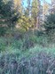 30 harmon ranch road, decatur island,  WA 98221