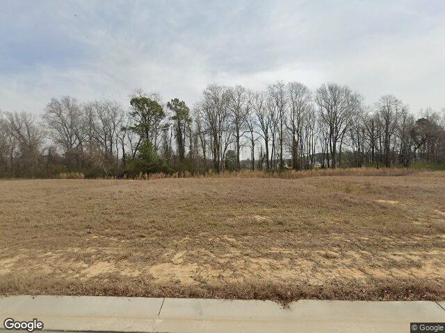 282 n coral bells way, four oaks,  NC 27524