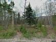 lot 22 taylor woods road, bethel,  ME 04217