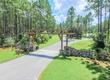 bristle cone dr, wewahitchka,  FL 32465