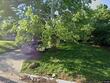4210 e 53rd st, kansas city,  MO 64130