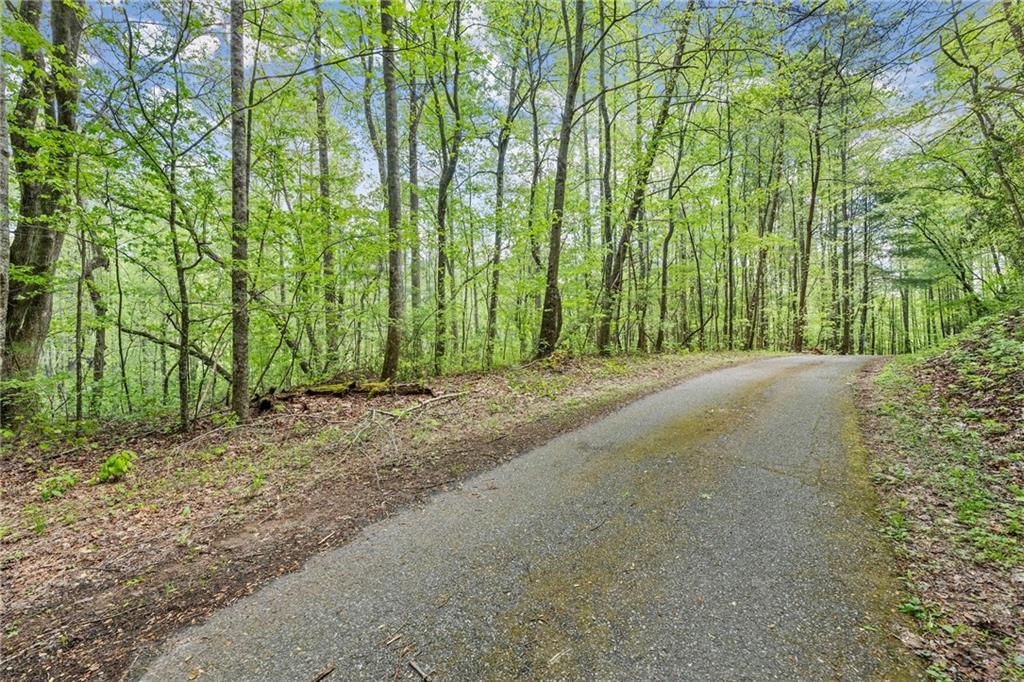 00 ts jarrard road, dahlonega,  GA 30533