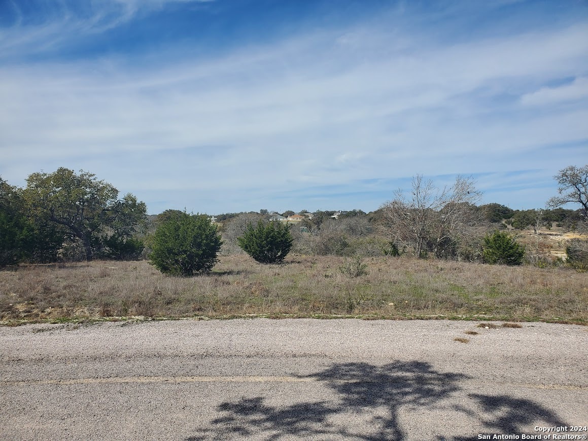 136 w eli chandler, blanco,  TX 78606