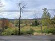 1517 nanticoke dr, endicott,  NY 13760