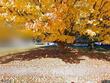 142 madison st, cortland,  NY 13045