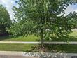 10208 w 147th st, overland park,  KS 66221