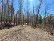 80ac off razorback rd, conover,  WI 54519