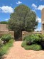 3101 old pecos trl #426
                                ,Unit 426, santa fe,  NM 87505