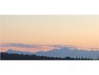  lynnwood,  WA 98036