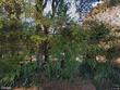 327 bobbitt rd # 327f
                                ,Unit # 327F, clayton,  NC 27520