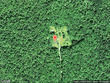  worcester,  VT 05682