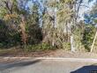 0 highway 21 north, springfield,  GA 31329