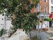 2016 orleans st, baltimore,  MD 21231