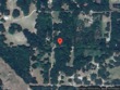  wildwood,  FL 34785