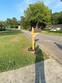  irmo,  SC 29063