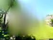 5320 grindon ave, baltimore,  MD 21214