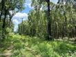 000 parker street, starke,  FL 32091