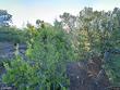 2013 senda de andres # 22
                                ,Unit # 22, santa fe,  NM 87501