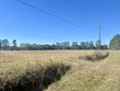 715 nunuville road, walterboro,  SC 29488