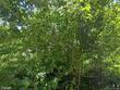  woodbury,  VT 05681