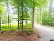2713 mitchells mill pond road, aylett,  VA 23009