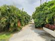 9175 se cove point st, jupiter,  FL 33469