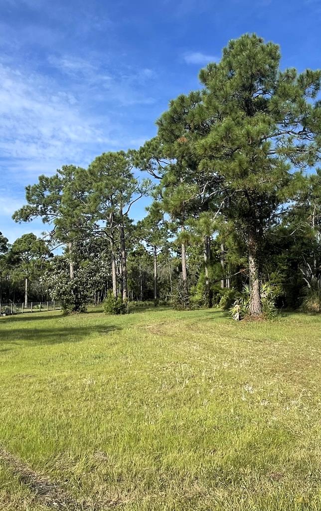 lot 2 plantation dr, port st. joe,  FL 32456