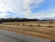 42 playtime cir, princeton,  NC 27568