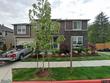 11387 se 84th pl, renton,  WA 98056