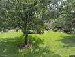 491 brookside ave, allendale,  NJ 07401