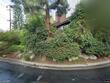  fullerton,  CA 92835